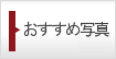 おすすめ写真一覧