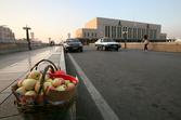 P101103101248.JPG