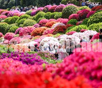 □最新ニュース写真